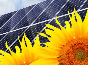 Mit Solarenergie Geld sparen und die Umwelt schonen